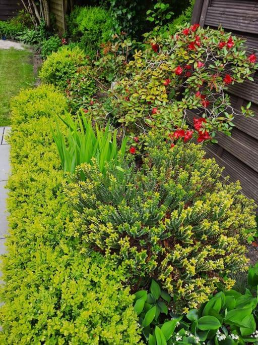 Urlaubsdomizil Norden/Norddeich, Mit Garten Exterior foto